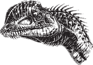 dinosaurvector-dinosaur-heads-123684