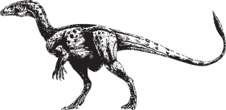 dinosaurvector-dinosaurs-vector-108390