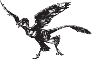 dinosaurvector-dinosaurs-vector-477502