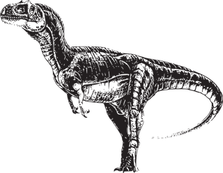 dinosaurvector-dinosaurs-vector-949346