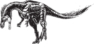 dinosaurvector-dinosaurs-vector-995698