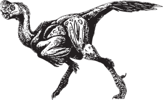 dinosaurvector-dinosaurs-vector-31169