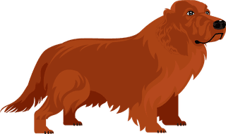 dogdog-species-icons-colored-cartoon-design-517071