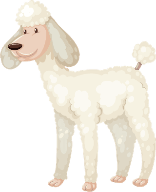 dogillustration-of-the-different-breeds-of-dogs-on-a-white-background-635132