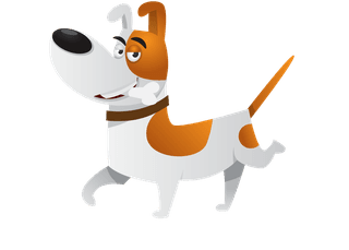 dogset-of-jack-russell-terrier-in-different-positions-637328