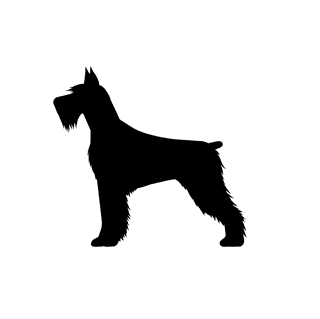 dogssilhouette-black-dogs-clipart-465011