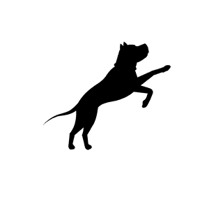 dogssilhouette-black-dogs-clipart-488007