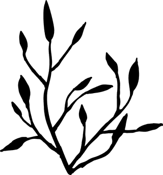 doodletwigs-set-plants-branches-in-a-flat-style-isolate-617325