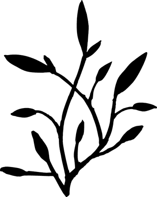 doodletwigs-set-plants-branches-in-a-flat-style-isolate-415023