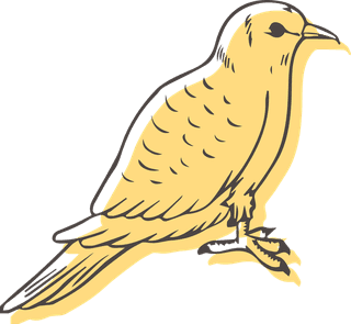 dovepigeons-in-sketch-drawing-style-for-any-kind-of-project-related-to-this-urban-751369