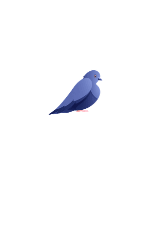 doveurban-pigeons-set-412574