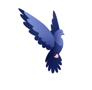 doveurban-pigeons-set-156007