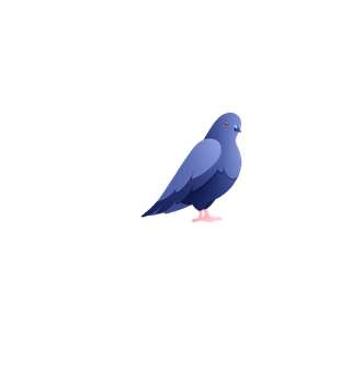 doveurban-pigeons-set-450332