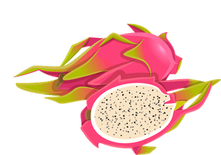 dragonfruit-thailand-icons-set-400907