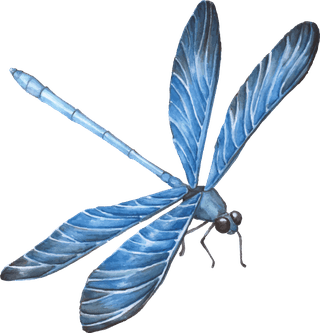 dragonflycollection-hand-drawn-animals-88760