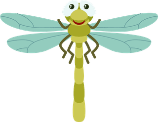dragonflyset-insect-character-796354