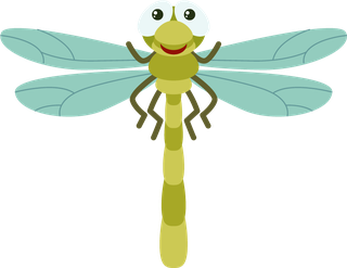 dragonflyset-insect-character-796354