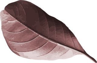 dryleaves-metallic-tropical-leaf-design-element-set-vector-919288