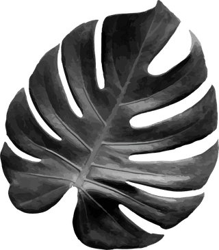 dryleaves-metallic-tropical-leaf-design-element-set-vector-19837