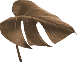 dryleaves-metallic-tropical-leaf-design-element-set-vector-328836