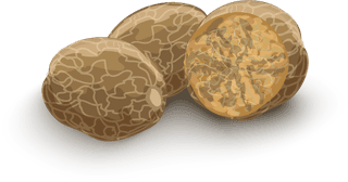 dryseed-nuts-decorative-set-357898
