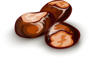 dryseed-nuts-decorative-set-966829