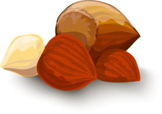 dryseed-nuts-decorative-set-530022