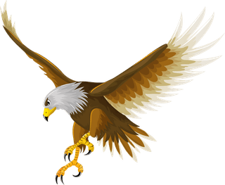 eaglebird-eagle-icons-hunting-gestures-sketch-colored-cartoon-design-14693