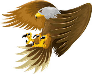eaglebird-eagle-icons-hunting-gestures-sketch-colored-cartoon-design-40544