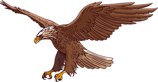 eagleeagle-icons-flying-perching-gesture-sketch-58132