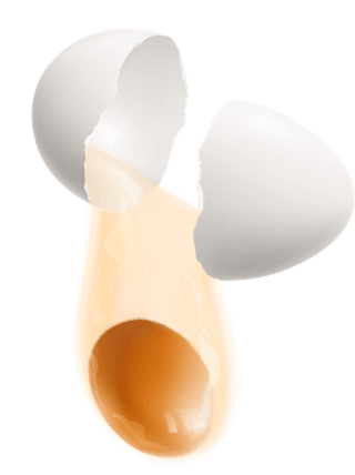 eggcolored-isolated-realistic-hen-eggs-illustrations-set-with-different-cooking-methods-605690