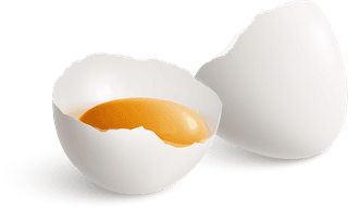 eggcolored-isolated-realistic-hen-eggs-illustrations-set-with-different-cooking-methods-304397
