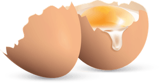 egghard-boiled-raw-eggs-realistic-set-isolated-white-background-427922