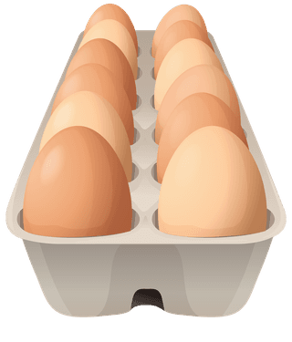 eggtray-chicken-different-types-chicken-products-865755