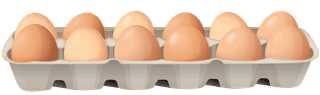 eggtray-chicken-different-types-chicken-products-189576
