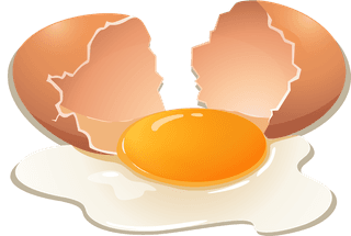 eggseggs-and-fried-chicken-illustration-698031