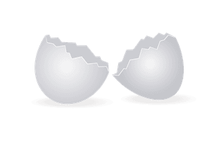 eggshellhere-is-a-very-useful-collection-of-broken-egg-shells-that-i-am-sure-739916