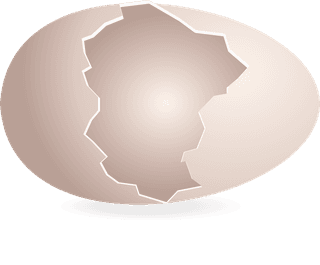 eggshellhere-is-a-very-useful-collection-of-broken-egg-shells-that-i-am-sure-831803