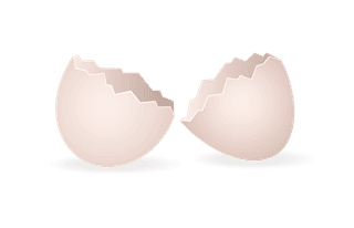 eggshellhere-is-a-very-useful-collection-of-broken-egg-shells-that-i-am-sure-274744