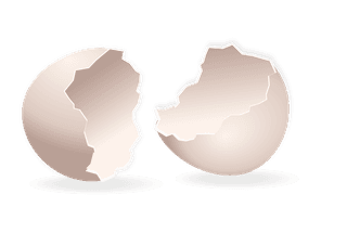 eggshellhere-is-a-very-useful-collection-of-broken-egg-shells-that-i-am-sure-933981