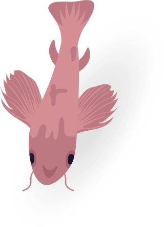 exoticfish-sea-animals-stickers-pack-underwater-fauna-isolated-cliparts-collection-white-486963