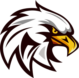 falconhead-eagle-logotypes-heads-sketch-colored-handdrawn-design-678287