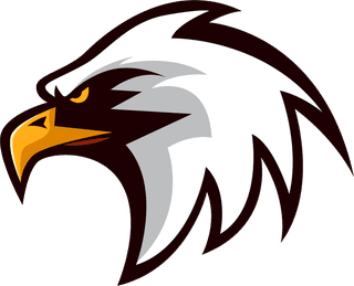 falconhead-eagle-logotypes-heads-sketch-colored-handdrawn-design-368979