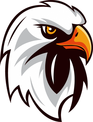 falconhead-eagle-logotypes-heads-sketch-colored-handdrawn-design-238996