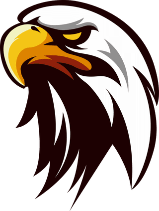 falconhead-eagle-logotypes-heads-sketch-colored-handdrawn-design-852024