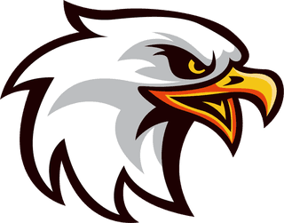 falconhead-eagle-logotypes-heads-sketch-colored-handdrawn-design-188455