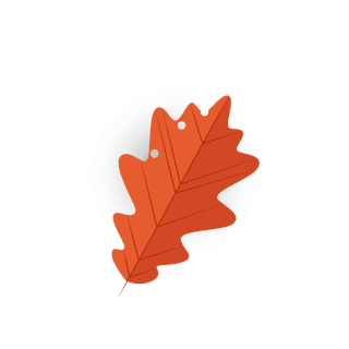 fallleaves-icons-orange-modern-shapes-342691