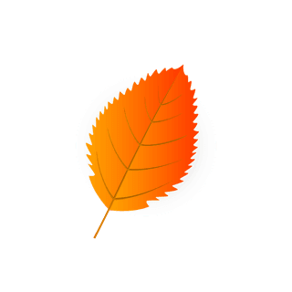 fallleaves-icons-orange-modern-shapes-589009
