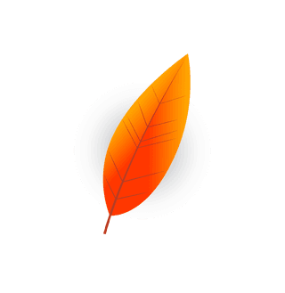 fallleaves-icons-orange-modern-shapes-236845