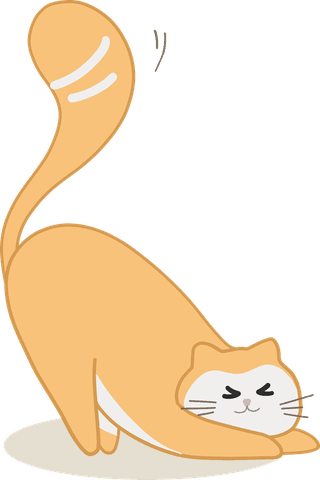fatcat-cats-in-different-positions-playing-and-having-fun-small-209949